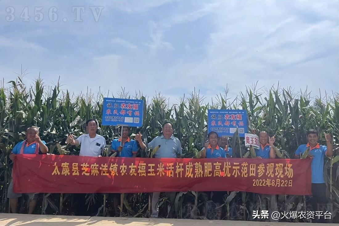 河南農(nóng)友福肥料發(fā)明人李振賢提醒您《小麥如何創(chuàng)高產(chǎn)》 河南農(nóng)友福肥料發(fā)明人李振賢提醒您《小麥如何創(chuàng)高產(chǎn)》